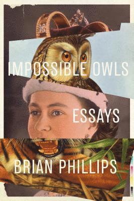 Brian Phillips - Impossible Owls, Häftad