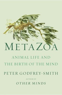 Metazoa 1