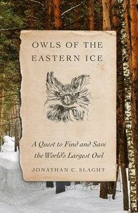 bokomslag Owls Of The Eastern Ice