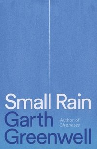 bokomslag Small Rain