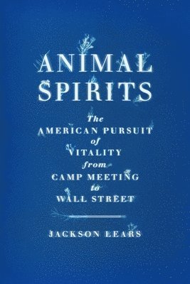 bokomslag Animal Spirits