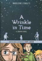 bokomslag A Wrinkle in Time