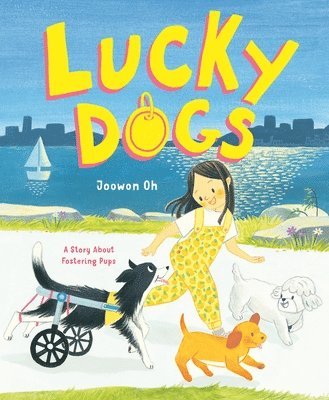 Lucky Dogs 1