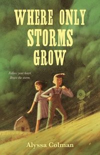 bokomslag Where Only Storms Grow: A Novel about the Dust Bowl