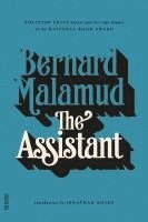 bokomslag The Assistant