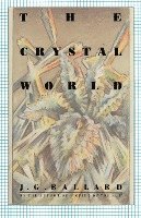 bokomslag The Crystal World