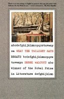 bokomslag What the Twilight Says