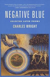 bokomslag Negative Blue