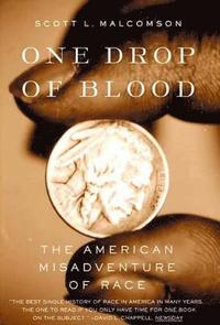 bokomslag One Drop of Blood: The American Misadventure of Race