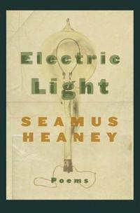 bokomslag Electric Light