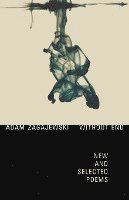 bokomslag Without End: New and Selected Poems