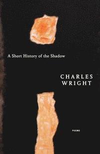 bokomslag A Short History of the Shadow