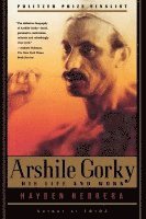 bokomslag Arshile Gorky