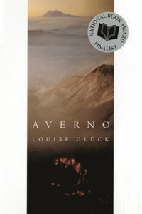 bokomslag Averno: Poems