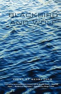 bokomslag Blackbird and Wolf: Poems