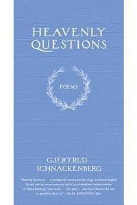 bokomslag Heavenly Questions