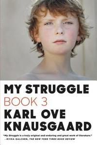 bokomslag My Struggle: Book 3