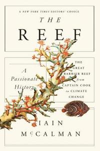 bokomslag Reef: A Passionate History: The Great Barrier Reef From Captain Cook To Climate Change