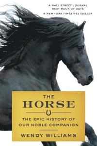 bokomslag The Horse