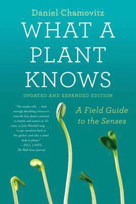 Daniel Chamovitz - What a Plant Knows, Häftad