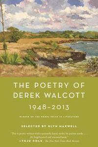 bokomslag Poetry Of Derek Walcott 1948-2013