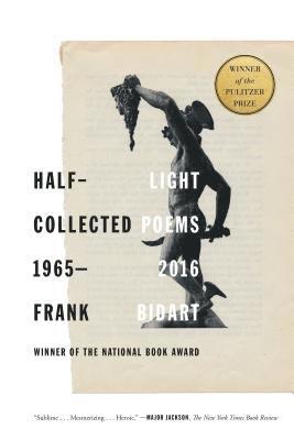bokomslag Half-Light: Collected Poems 1965-2016