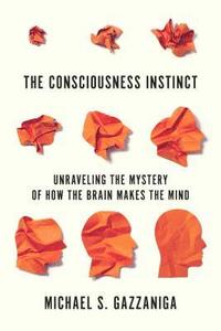 bokomslag The Consciousness Instinct