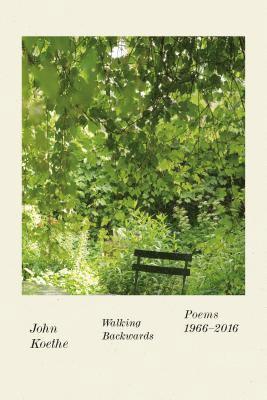 bokomslag Walking Backwards: Poems 1966-2016
