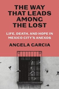 bokomslag The Way That Leads Among the Lost: Life, Death, and Hope in Mexico City's Anexos