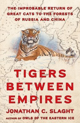 bokomslag Tigers Between Empires: The Improbable Return of Great Cats to the Forests of Russia and China