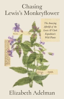 bokomslag Chasing Lewis's Monkeyflower: The Amazing Afterlife of the Lewis and Clark Expedition's Wild Plants