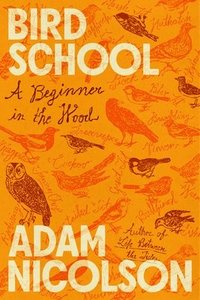 bokomslag Bird School