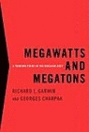 bokomslag Megawatts and Megatons: A Turning Point in the Nuclear Age?