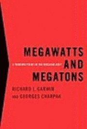 Richard L. Garwin, Georges Charpak - Megawatts and Megatons: A Turning Point in the Nuclear Age?, Inbunden