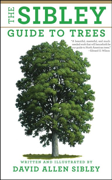 David Allen Sibley - Sibley Guide to Trees, Inbunden
