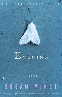 bokomslag Evening