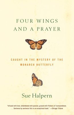 Four Wings and a Prayer: Caught in the Mystery of the Monarch Butterfly