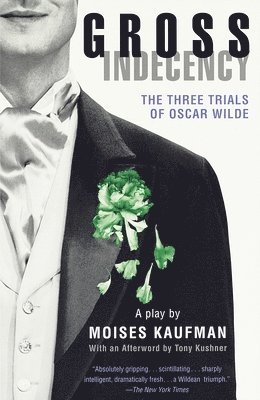 bokomslag Gross Indecency