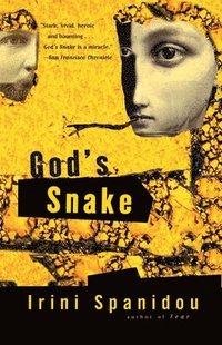 bokomslag God's Snake