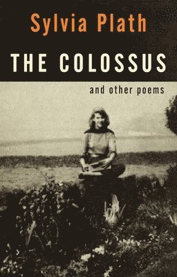 The Colossus 1
