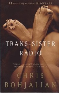 bokomslag Trans-Sister Radio