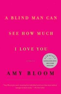 bokomslag A Blind Man Can See How Much I Love You: Stories