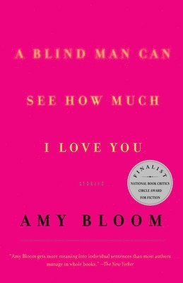 A Blind Man Can See How Much I Love You: Stories 1
