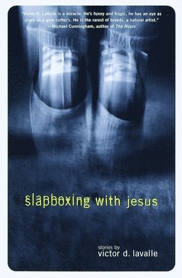 bokomslag Slapboxing with Jesus