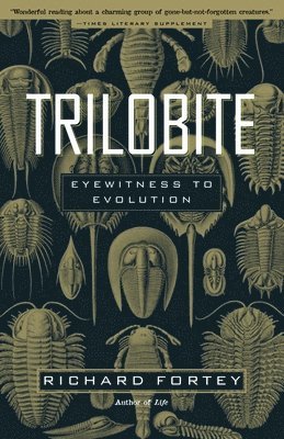 bokomslag Trilobite