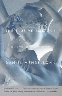 bokomslag The Elusive Embrace: Desire and the Riddle of Identity