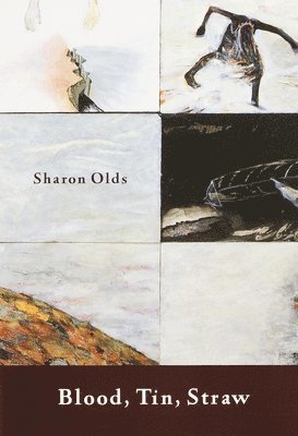 Sharon Olds - Blood, Tin, Straw: Blood, Tin, Straw: Poems, Häftad
