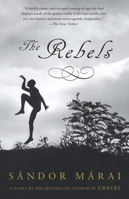 bokomslag The Rebels
