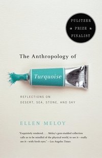 bokomslag The Anthropology of Turquoise: Reflections on Desert, Sea, Stone, and Sky (Pulitzer Prize Finalist)