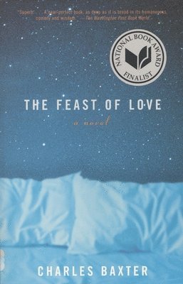 Charles Baxter - The Feast of Love, Häftad